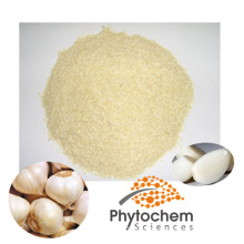 dehydrated bulk allicin extract supplement wholesale inporter buyers price organic garlic powder